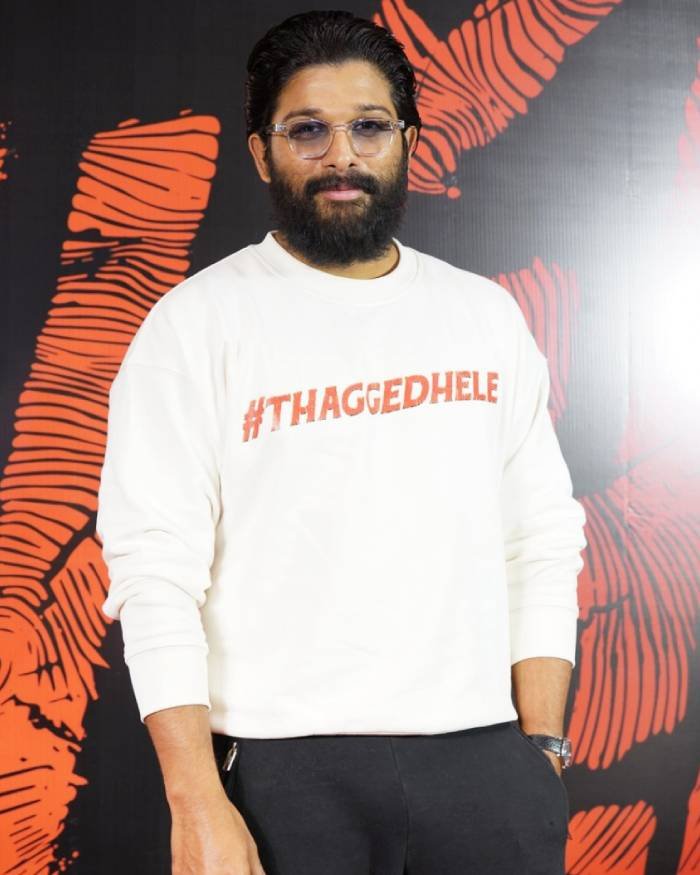 allu arjun_teluguvox_13